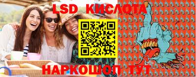 крисы Краснознаменск