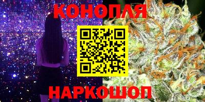 крисы Краснознаменск