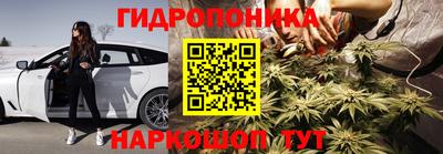 крисы Краснознаменск
