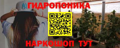 крисы Краснознаменск