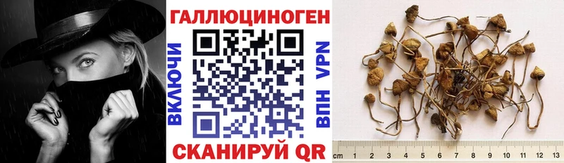 shop какой сайт Ишимбай Галлюциногенные грибы GOLDEN TEACHER